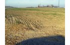 Property photo 3 - 60 Acres Offered in 2 Tracts